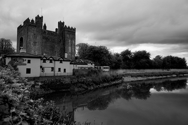 Free Chateau Ireland photo and picture