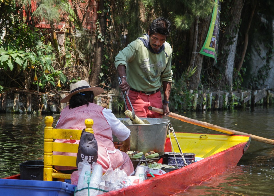 Mexico, Chinampa, Trabajo, De Viaje, Color, El Agua
