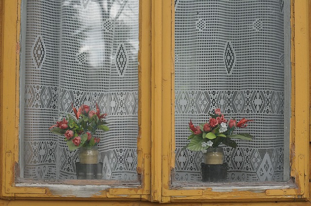 Free Window Village photo and picture