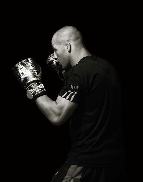 Free Sport Fighter photo and picture