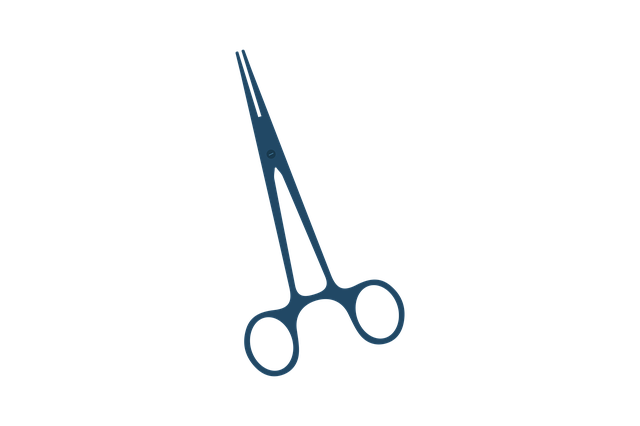 Download free HD stock image of Cutting Scissors Free cutting scissors craft illustration