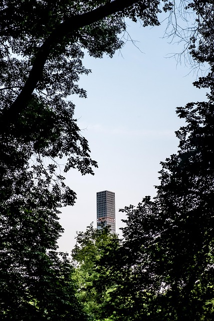 Free New York Central Park photo and picture