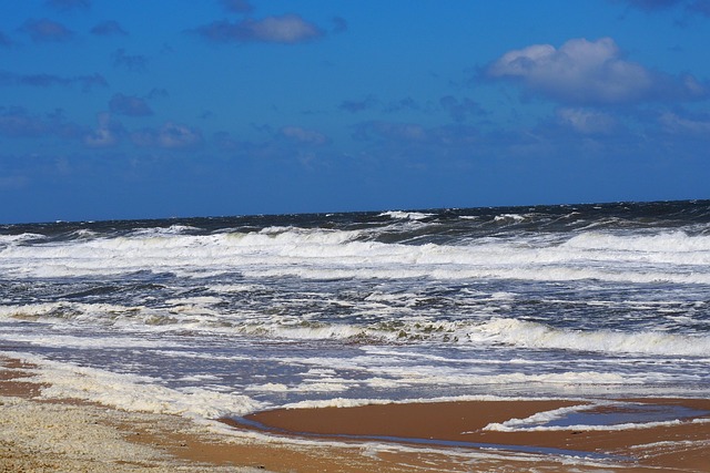 Mar, Surfar, Mar Do Norte, Agua, Costa