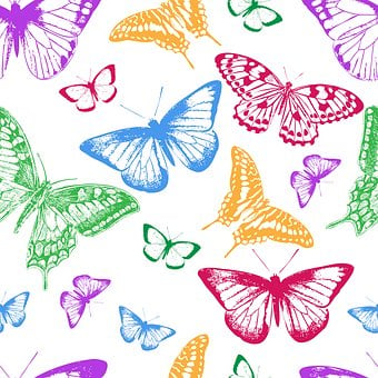 Schmetterling, Schmetterlinge, Jahrgang