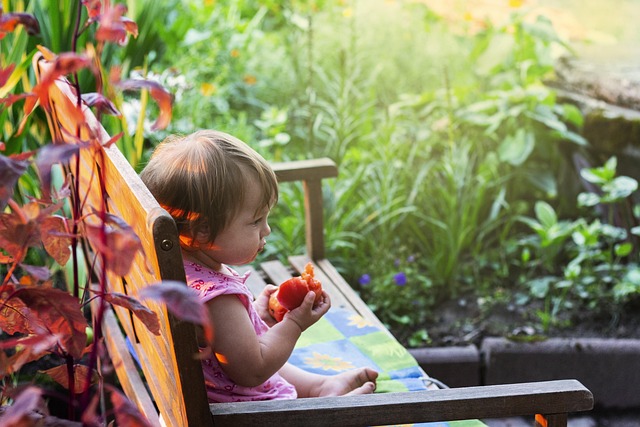 Free Child Sunset photo and picture