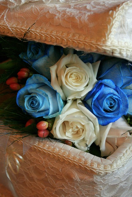 Free Flower Roses photo and picture