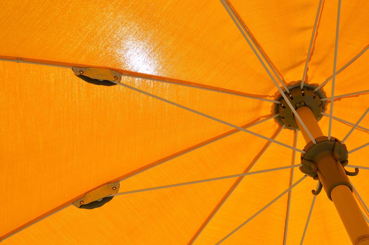 yellow-3521733_1280.jpg