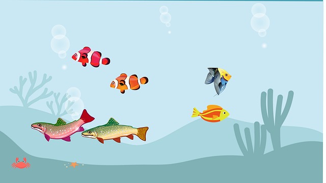 Fische, Meer, Ozean, Schwimmen