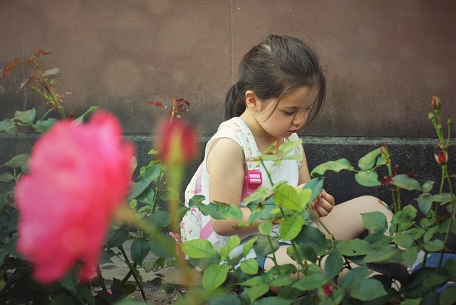 Free Girl Child photo and picture