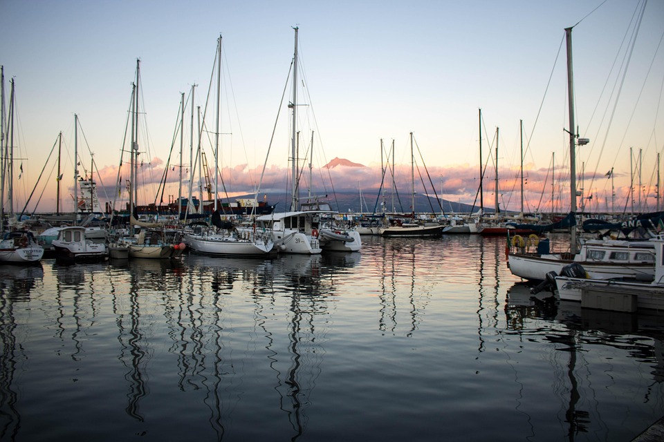 From Breaching to Spyhopping: A Guide to Azores Whale Watching