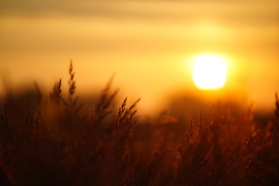 Morgen Sonnenaufgang Sonne Kostenloses Foto Auf Pixabay