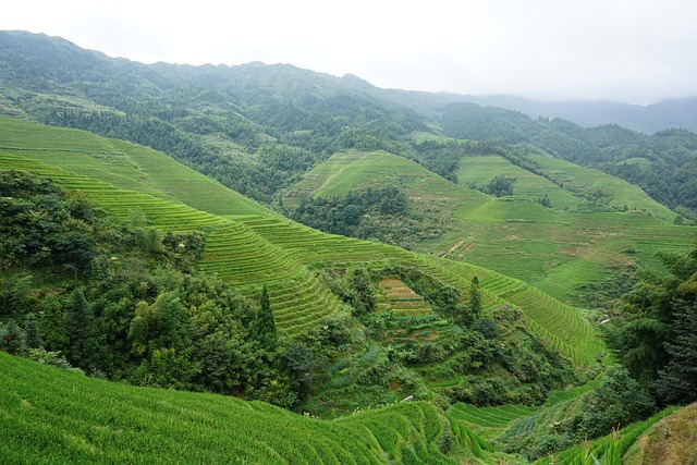 Free Longsheng China photo and picture
