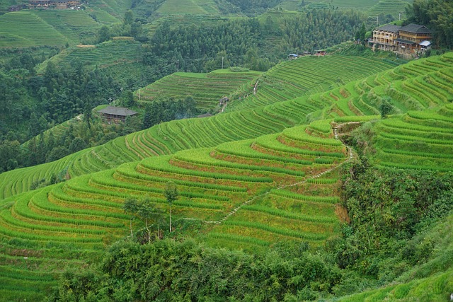 Free Longsheng China photo and picture