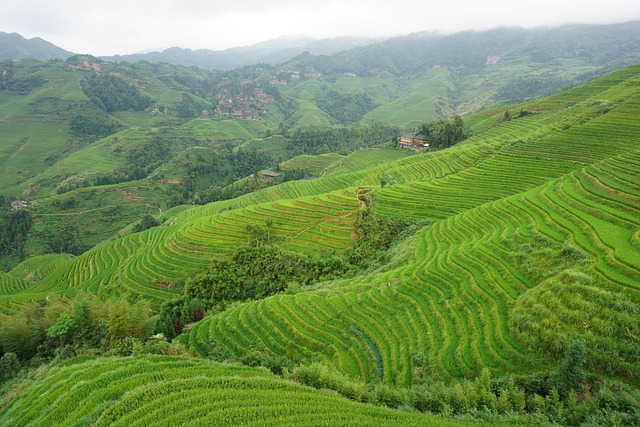 Free Longsheng China photo and picture