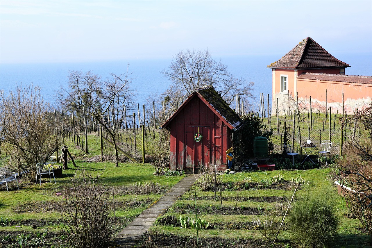 meersburg, high school, house, small, nature, lake constance, vineyard, internat, building, to learn, school, heaven, wine, exam, court, architektrur, germany, south, entrance, window, architecture, facade, exterior view, sightseeing, greenhouse, meersburg, meersburg, meersburg, meersburg, meersburg, internat, exam, exam, exam, exam, exam, greenhouse