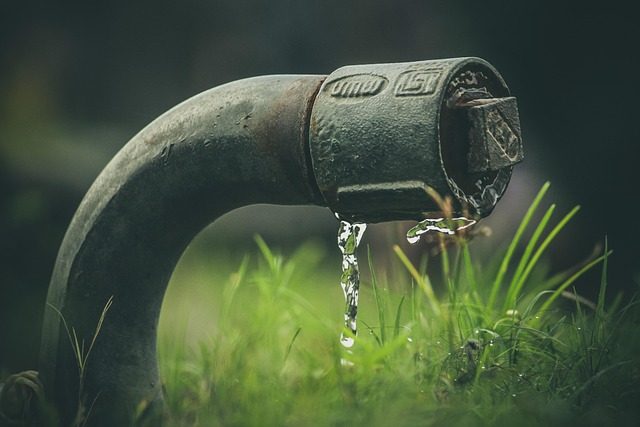 Free Water Nature photo and picture