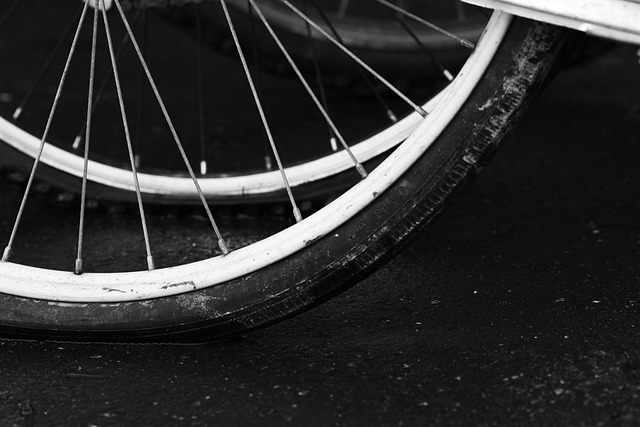 Roues Stabilisatrices Pour Vélo Enfant 12-20 Pouces - Paire Noire - Aide à L'Équilibre - ZOSEN