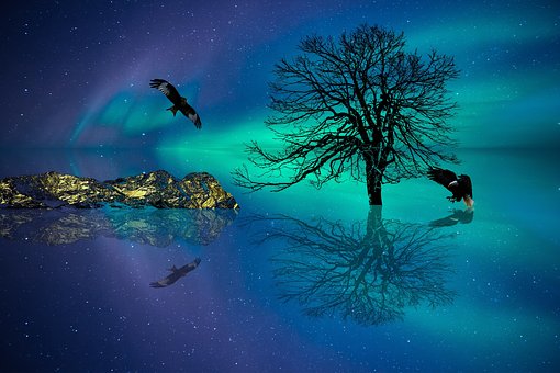 Aurora, Ártico, Noche, Naturaleza