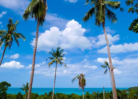 Free Koh Samui Beach photo and picture