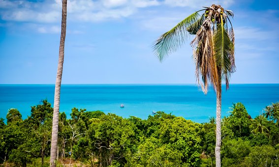 Free Koh Samui Beach photo and picture