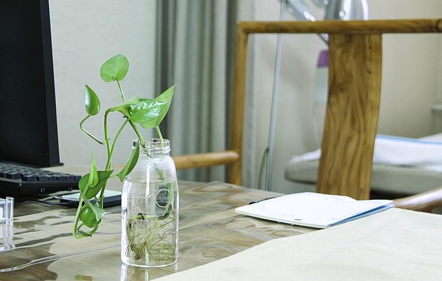 Chinesische Medizin, Office, Desktop