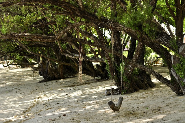 Free Beach Sand photo and picture