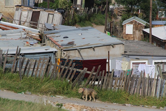Free Township Knysna photo and picture