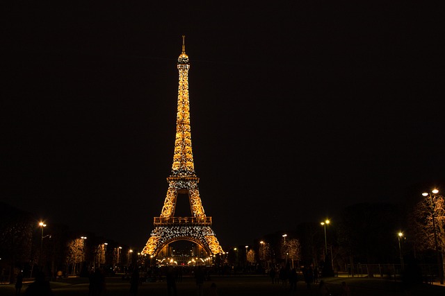 Free Paris Eiffel Tower photo and picture