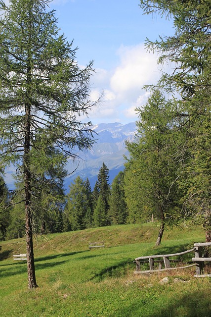 Berge, Baum, Idylle, Natur