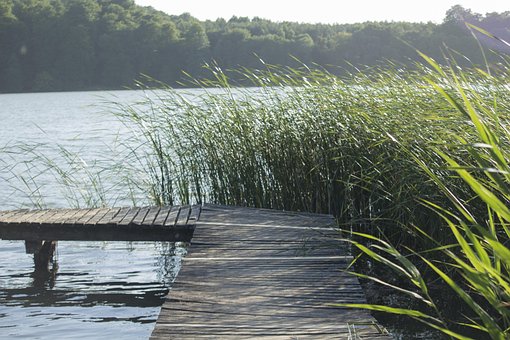 Free Lake Pond photo and picture