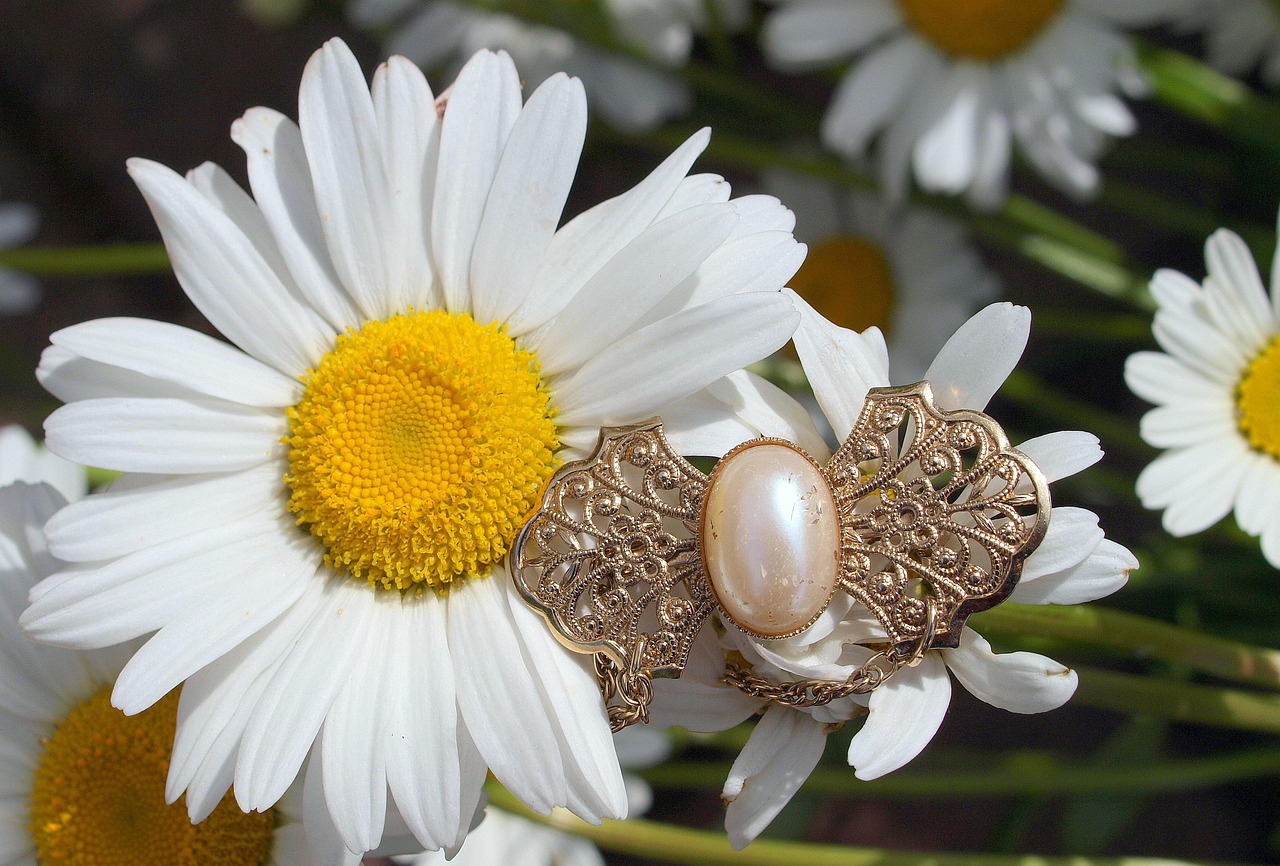 Jewellery - free online jigsaw puzzle photo