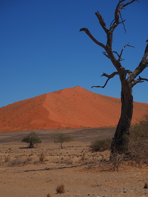 Free Namibia Red Sand photo and picture