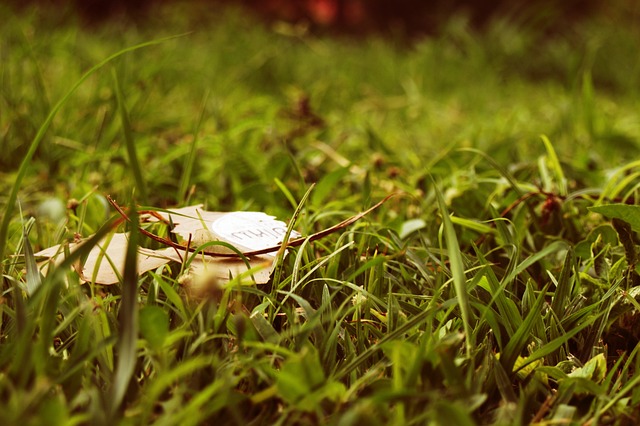 Nature, Grass, หญ้า, ธรรมชาติ, ภูมิทัศน์