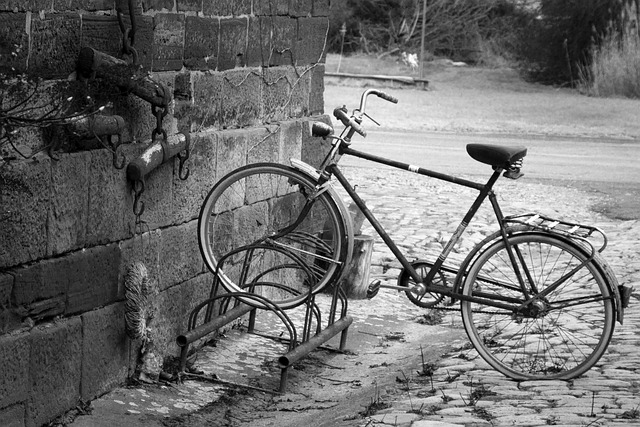 Cykel, Ret, Natur, Trafik, Romantisk