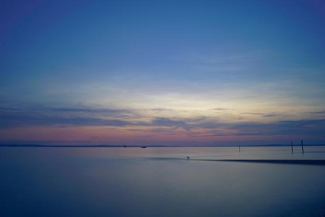 Free Lake Constance Langenargen photo and picture