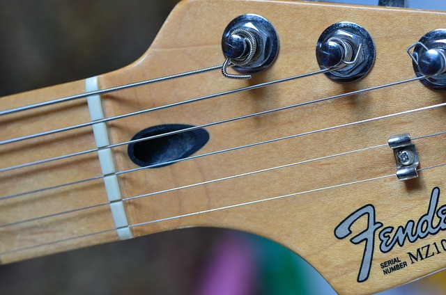Free Guitar Stratocaster photo and picture