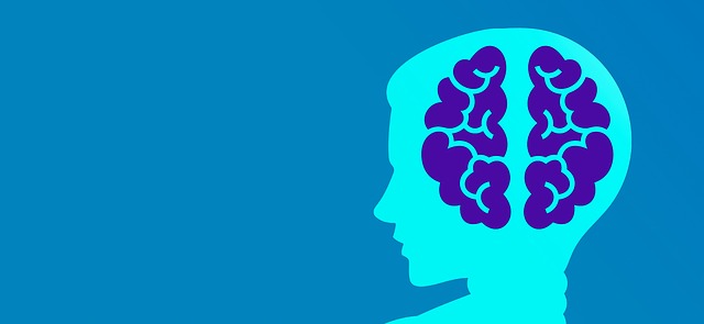Free mindset programmer machine learning illustration