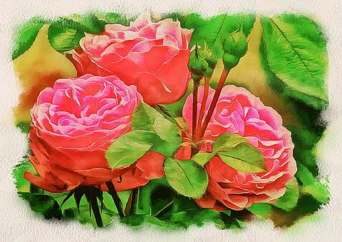 Free Drawing Watercolor illustration and picture
