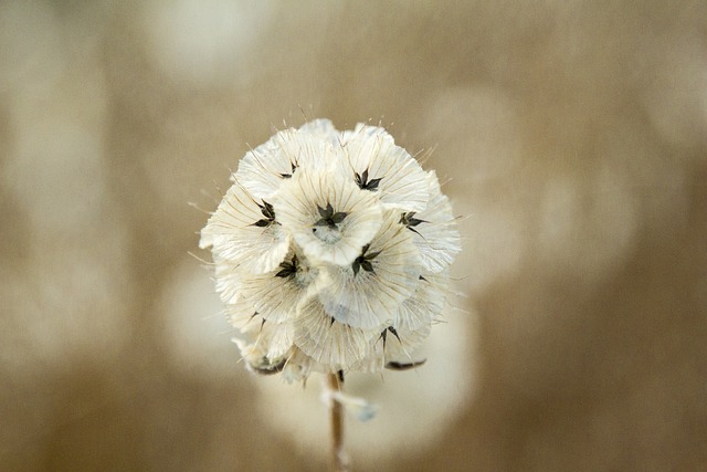 使用 Hyperledger Ursa 简化区块链安全性