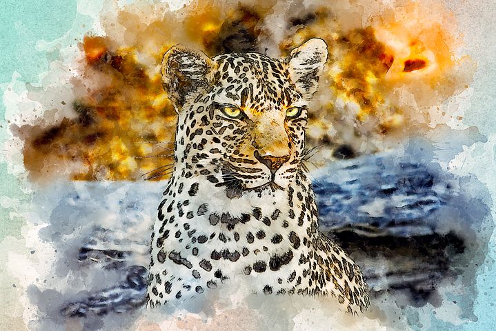 1,000+ Free Leopard &amp; Snow Leopard Images