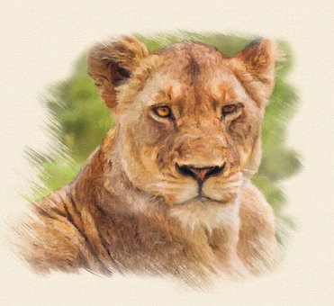Free Drawing Watercolor illustration and picture