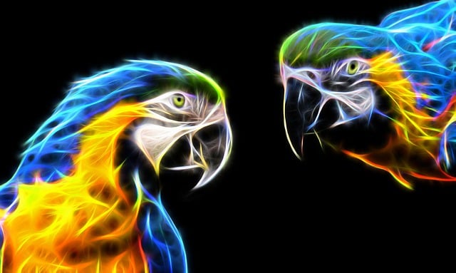 Free parrot macaw colorful illustration
