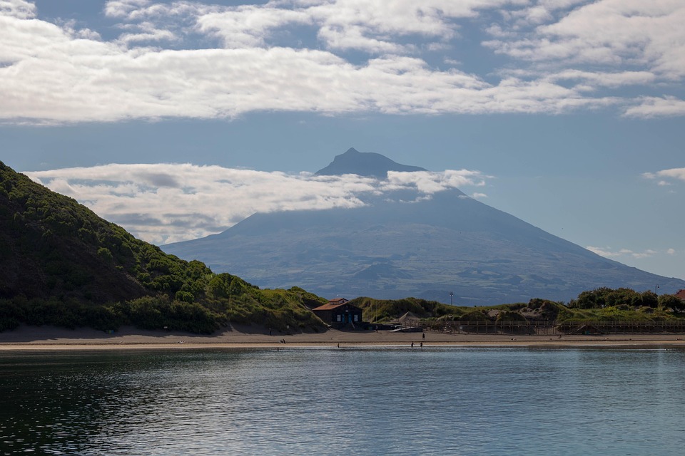 A Traveler’s Guide to Whale Watching Tours in the Azores
