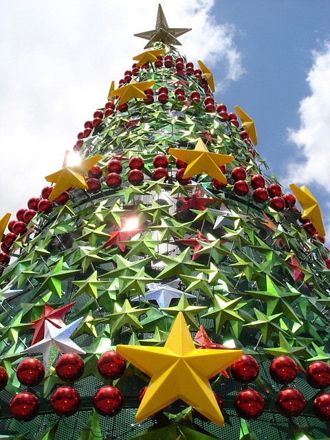 Free Christmas Tree Public Tree photo and picture