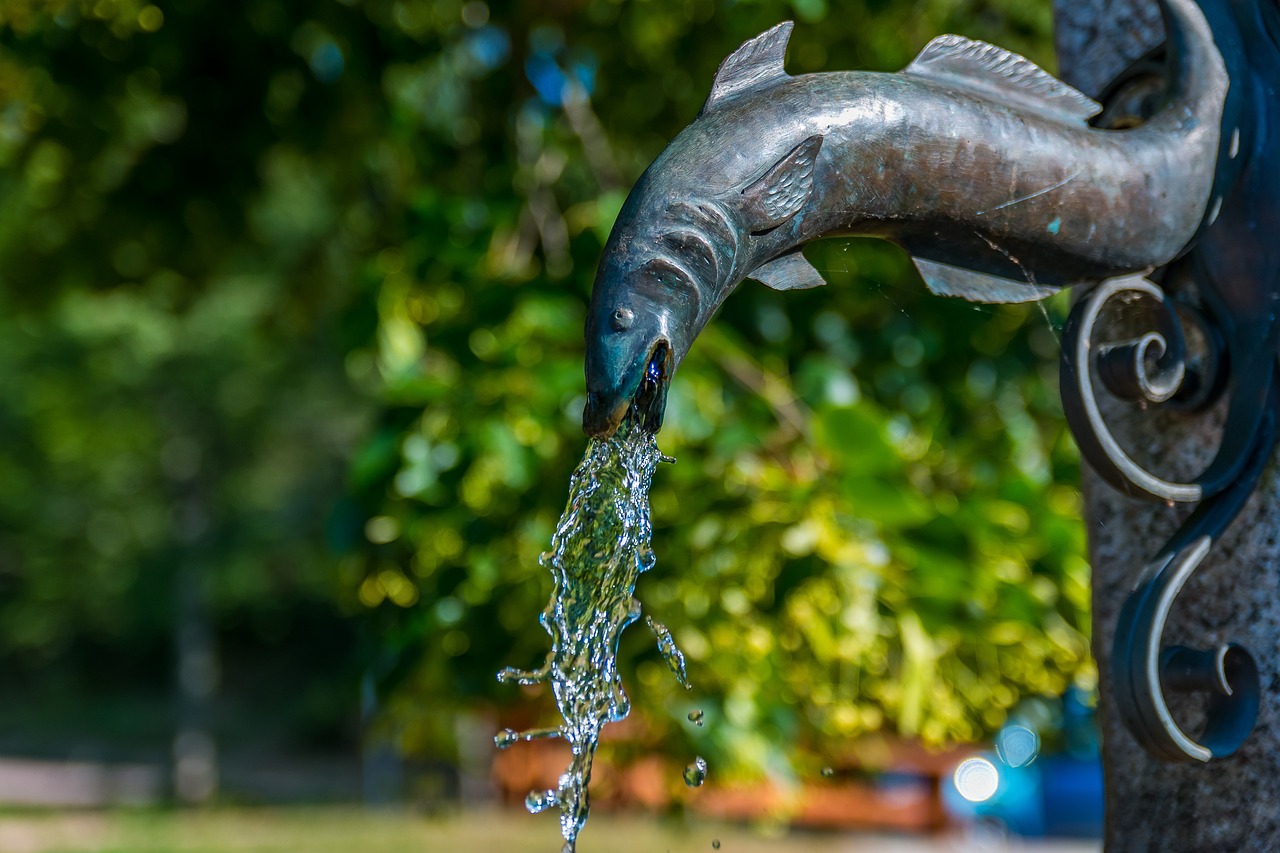 Brunne Water Life - Free photo on Pixabay - Pixabay