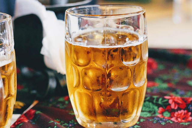 Free Beer Polish Food photo and picture