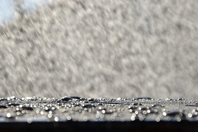 Free Rain Nature photo and picture