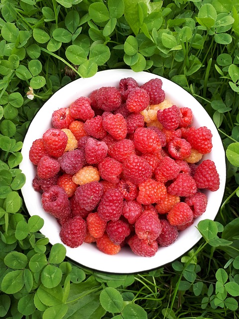 Free Raspberry Red photo and picture