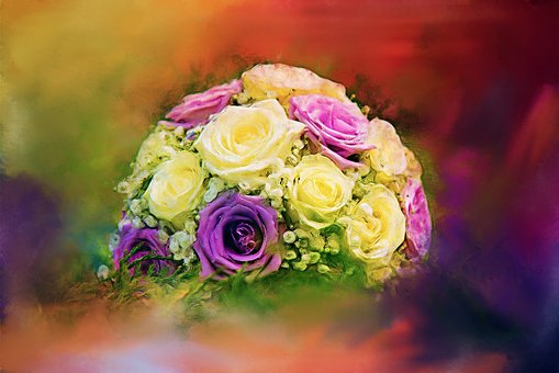 Free Rose Roses illustration and picture