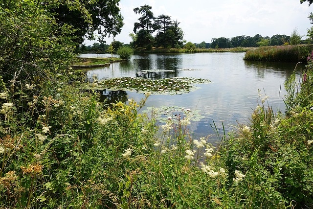 Free Lake Fresh Water photo and picture
